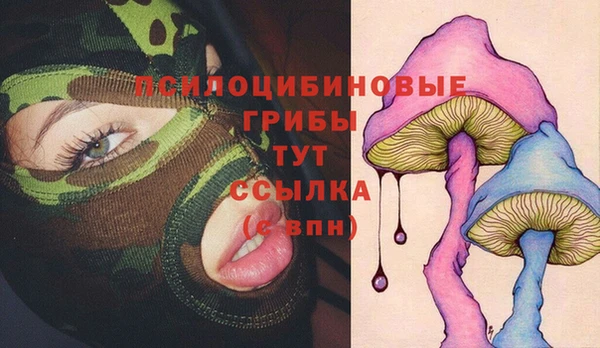 герыч Няндома