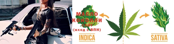стаф Гусь-Хрустальный
