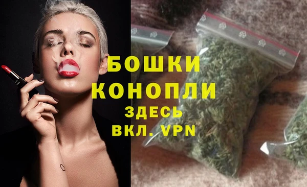 Альфа ПВП Фёдоровский