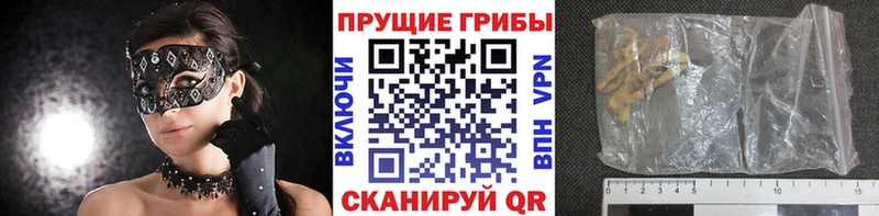 Галлюциногенные грибы Magic Shrooms  Полярные Зори 